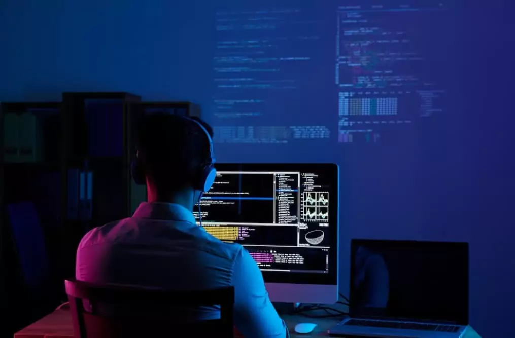 it-section-2